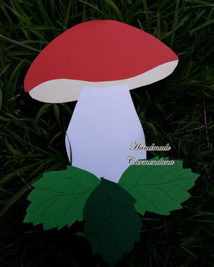 Decoratiune  pavoazare clasa