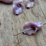 Cale din pasta de coral, 15x10 mm