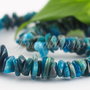 Apatite 4~13x3~12x1~6mm (0.5sir)