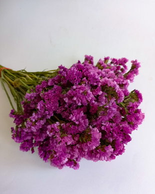 Buchet flori statice Roz (Limonium sinuatum),30 g/buchet-40 cm