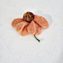 Brosa impaslita - Echinaceea
