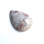 Caboson palm root agat (C82)