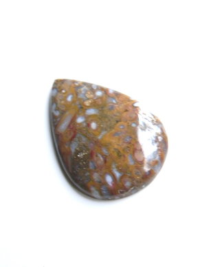Caboson palm root agat (C82)