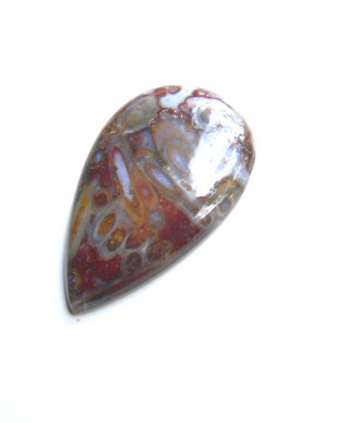 Caboson palm root agat (C82)