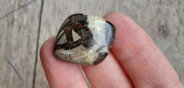 Cabochon septarian, 30x25 mm