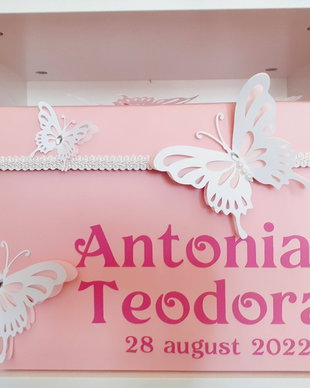 Cutie pentru dar botez Fluturi