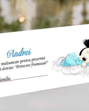 Plic de bani Mickey Sleeping