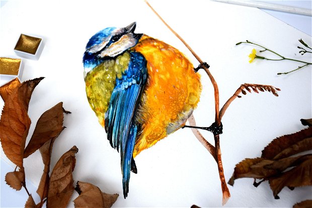 Tablou Pitigoi (Cyanistes caeruleus) - Pictura originala in acuarela - Birds Collection