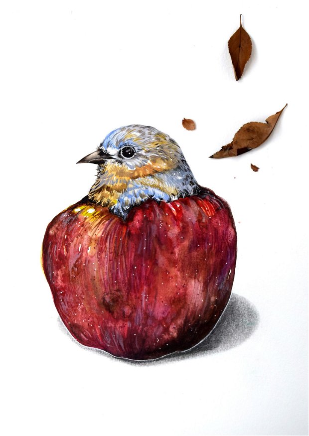 Tablou Apple Bird - Pictura Originala - Birds Collection