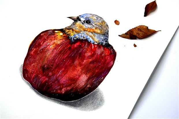 Tablou Apple Bird - Pictura Originala - Birds Collection
