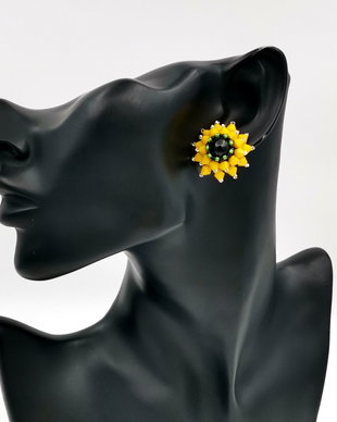 Rezervat Cercei - Floarea Soarelui de Vis