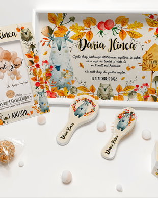 Set aniversar personalizat 1 anisor - Poveste de toamna - Tavita turta si accesorii