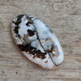 Cabochon jasp crazy horse, 37x20 mm