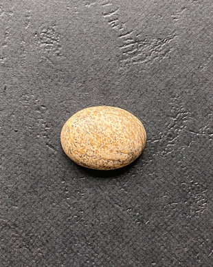 LMCB12 - cabochon jasp
