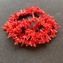Lchips 51 - chips coral