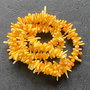 Lchips 52 - chips coral