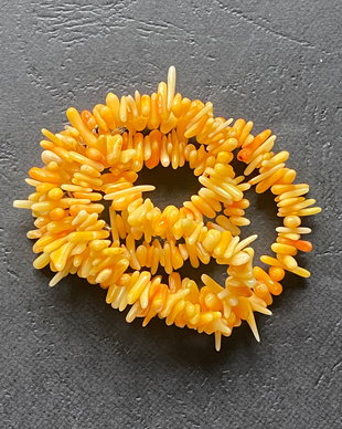 Lchips 52 - chips coral