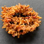 Lchips 51 - chips coral