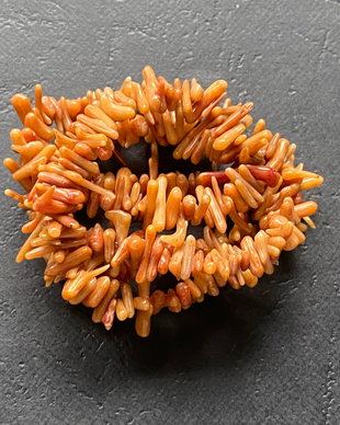 Lchips 51 - chips coral