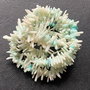 Lchips 52 - chips coral