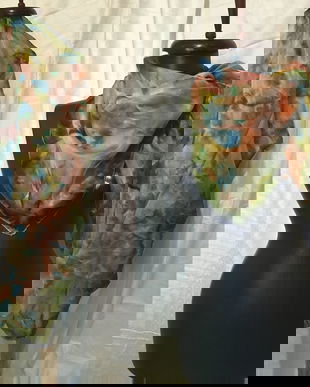 ESARFA MATASE NATURALA PICTATA MANUAL