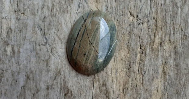 Cabochon silver leaf jasper, 40x30 mm