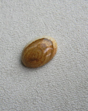 Caboson picture jasper (M20)