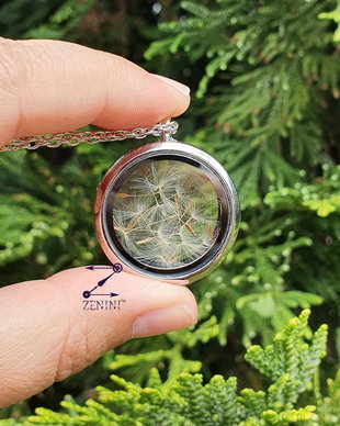 Medalion puf de papadie, medalion argintiu cu papadie, colier cu papadie, medalion cu magnet, medalion papadie