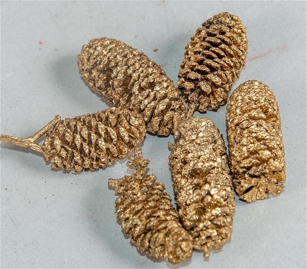Conuri de arin, aur antic, 20 g- MB07331