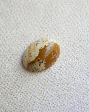 Caboson picture jasper (M22)