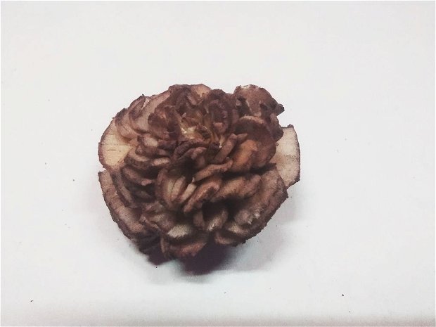 Floricele ming maronii, 2 cm, 10buc/set- MB08086