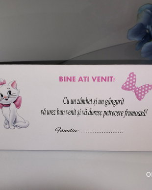 Plic de bani botez/ plicuri de bani botez /marie/pisica marie