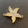 LCN01 - conector stea coral fosil