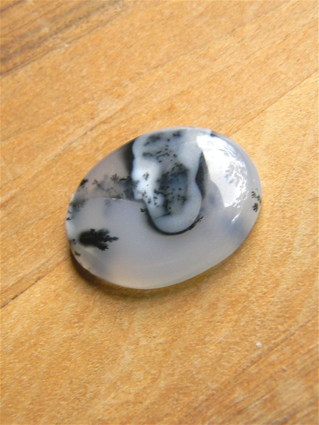 Caboson opal dendritic (M22)