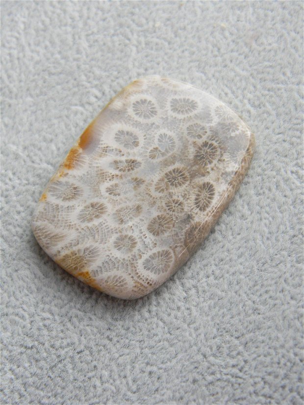 Caboson coral fosil (M22)