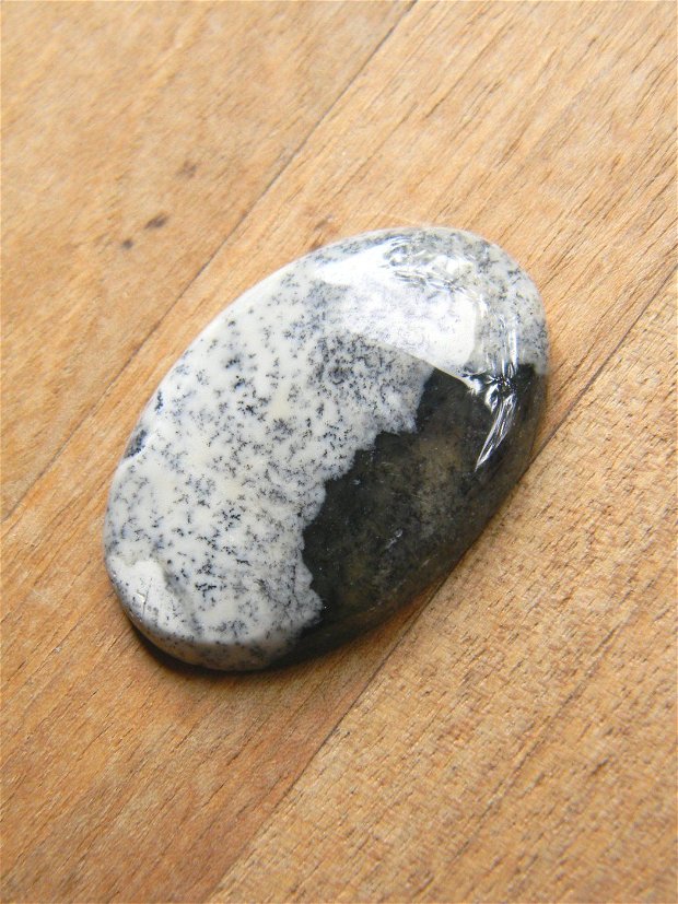 Caboson opal dendritic (C89)