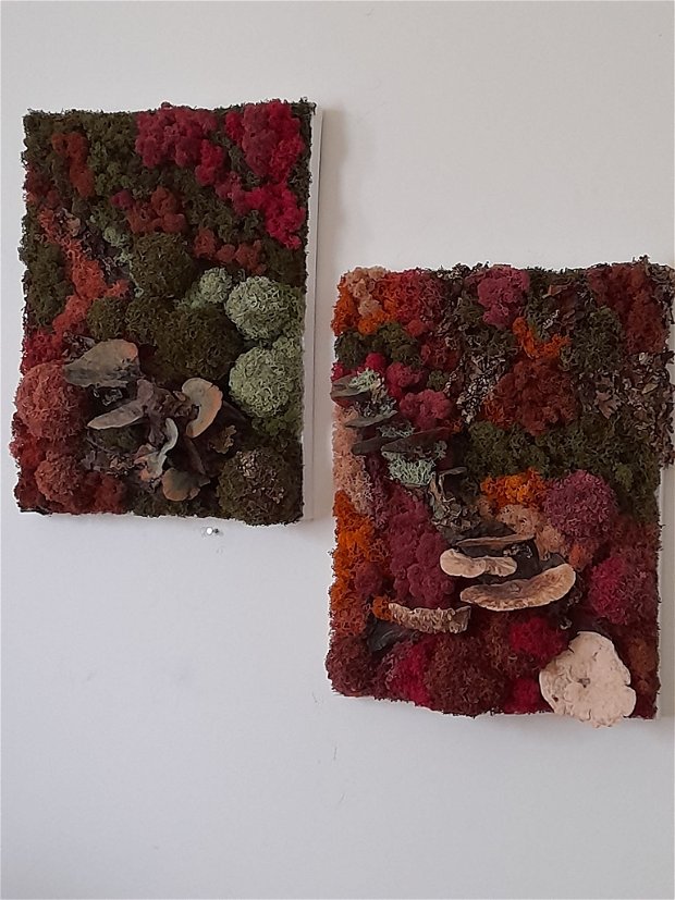 Tablou cu licheni stabilizați și ciuperci