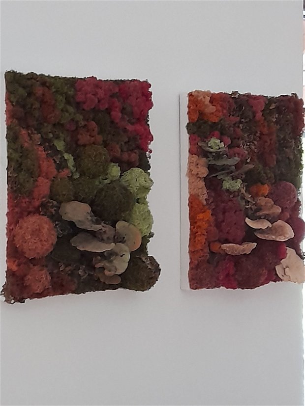 Tablou cu licheni stabilizați și ciuperci