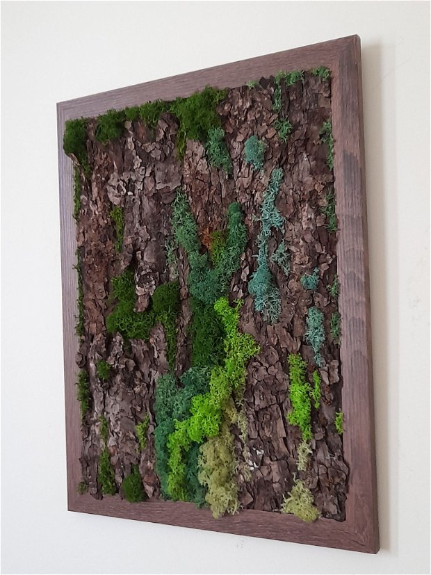Tablou cu licheni stabilizați pe scoarță de copac