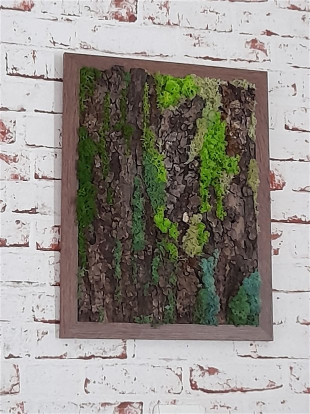 Tablou cu licheni stabilizați pe scoarță de copac