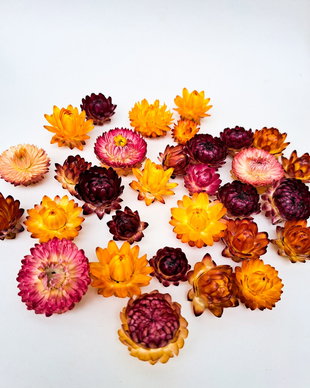 Capete Flori de Paie, Mix culori-30 bucăți/pachet 1-3 cm