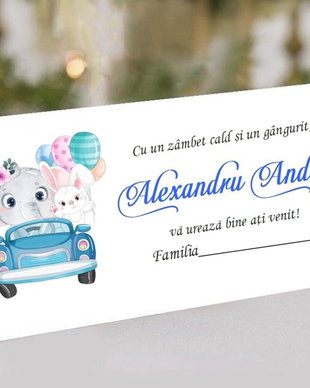Plic de bani BABY ELEPHANT BAPTISM