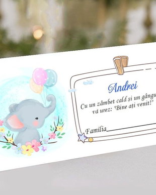 Plic de bani Sweet Elephant