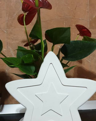 Figurine pictura Stea de Craciun