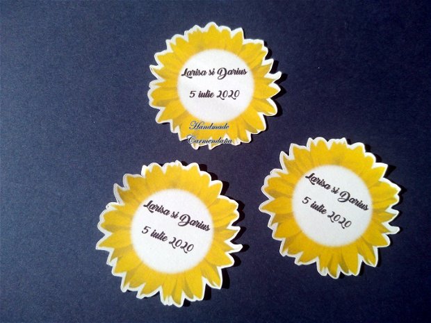 Etichete  floarea soarelui