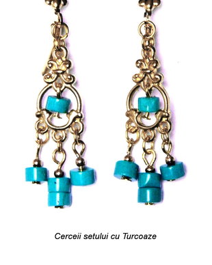 Turcoaze RETINUT  (211)
