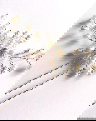 ac par mireasa 41598