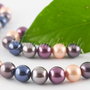 Perle seashell 10mm (1sir)