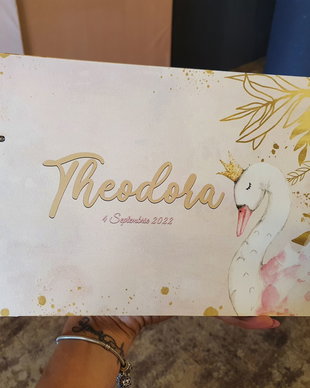 Guestbook lebede cabina foto /oglinda /Caiet cu amintiri