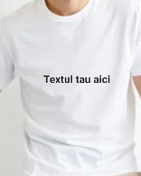 Tricou personalizat barbati
